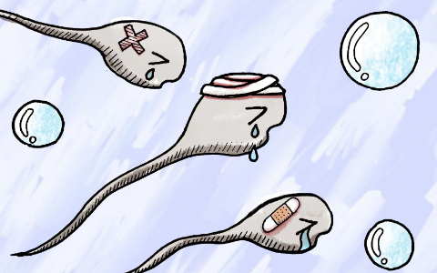 备孕男性必看：高温、辐射、毒物，到底哪个