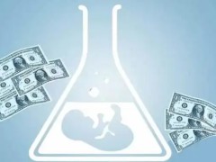 如何精打细算做试管？2026年国内试管婴儿费