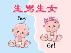 最新生男生女2026正版清宫图！一起来预测宝