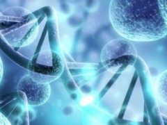 关于借卵生子的这笔账你能算清吗？2026借卵