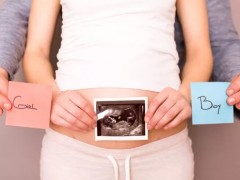 搶先公布羊年2027正版清宮圖！寶寶的性別就藏在其中哦