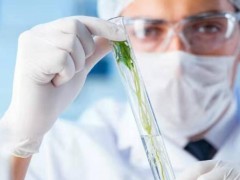 申請試管綠通真的能縮短時間嗎？解讀2026試管綠通的真實花費