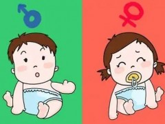 馬年版2026清宮圖生男生女一覽！測算男/女