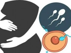 失去子宮只能找第三方助孕嗎？附海外愛心媽