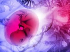 卵巢性不孕做试管借助第三方供卵，成功率真