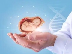 高龄/遗传疾病患者的试管之路！合法第三方