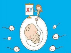 2027羊年生男生女清宫图(表)正版首发！探知