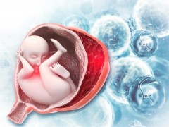 无子宫女性的生育之路！做试管选择爱心妈妈