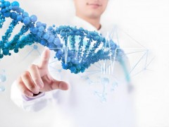 amh值低做三代试管到底能否成功？高龄女性