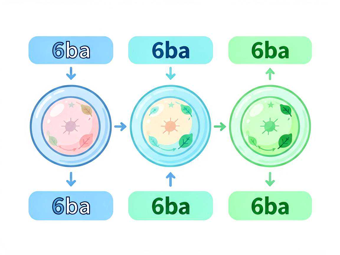 三代试管囊胚6ba质量分级示意图