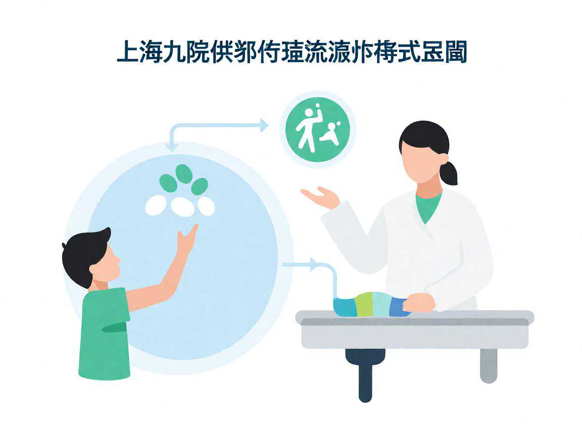 上海九院供卵试管流程步骤示意图