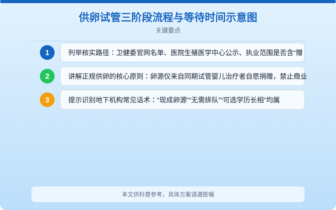供卵试管三阶段流程与等待时间示意图