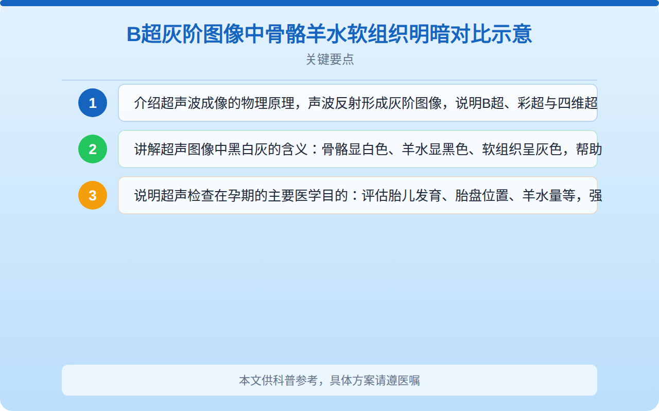 B超灰阶图像中骨骼羊水软组织明暗对比示意