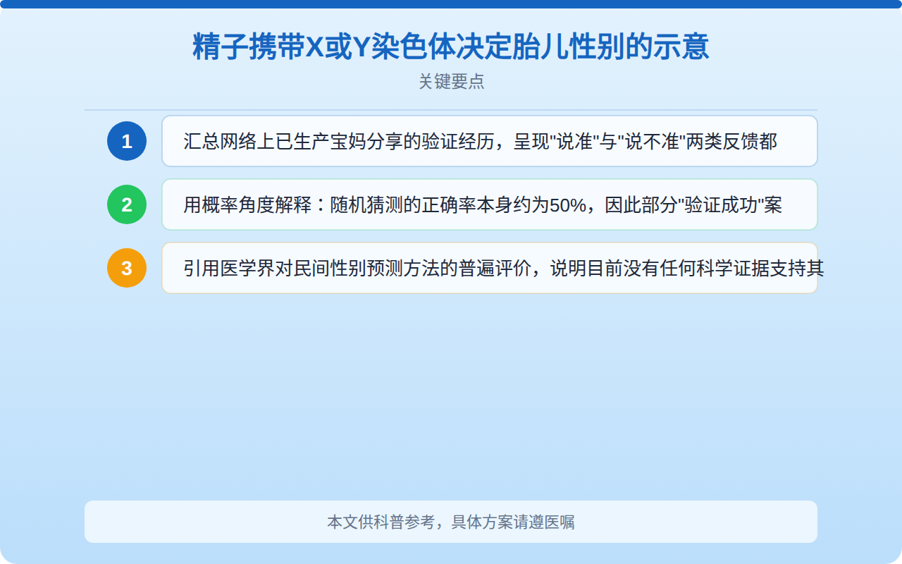 精子携带X或Y染色体决定胎儿性别的示意