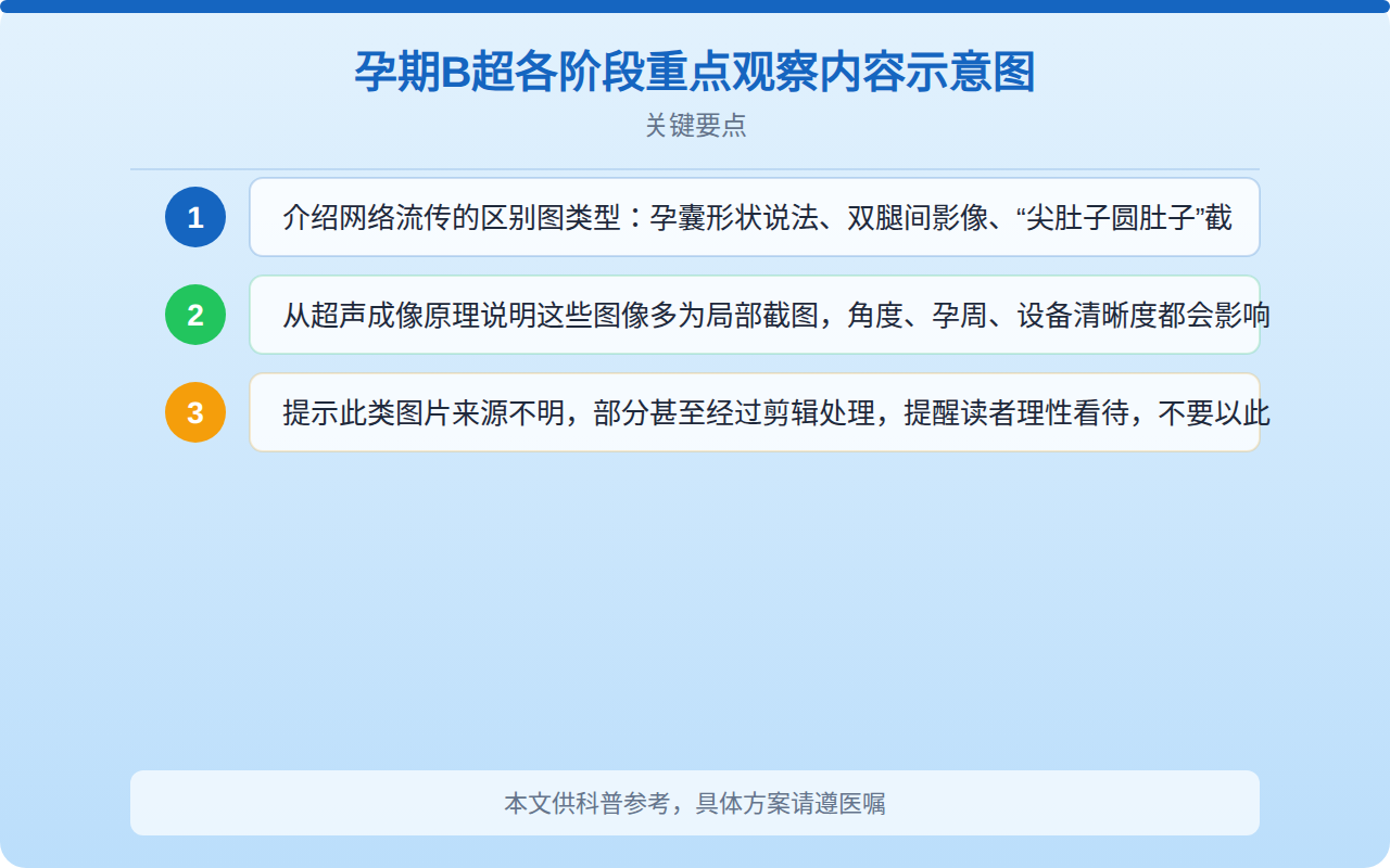 孕期B超各阶段重点观察内容示意图