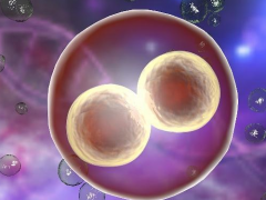 試管嬰兒拮抗劑方案的成功率有多大？