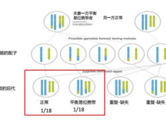 夫妻双方都没有染色体异常，是否有必要做美国第三代试管婴儿?