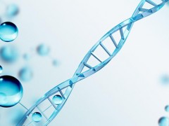 潜江DNA亲子鉴定哪家好,亲子鉴定准吗