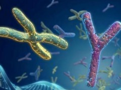 天津能開展試管嬰兒技術的醫(yī)院，都在這里了！