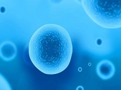 试管抗结剂方案的利弊