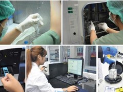 泰国试管婴儿成功率多少高吗