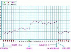 黄体期出血？一文让你正确认知黄体期各种症