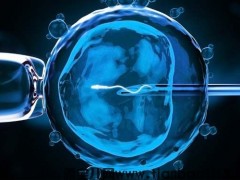 做試管嬰兒可以一個(gè)周期取兩次卵嗎