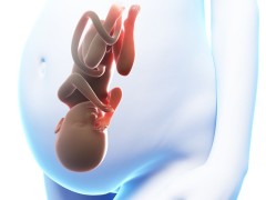 东莞妇幼保健院试管婴儿成功率盘点成功率的影响因