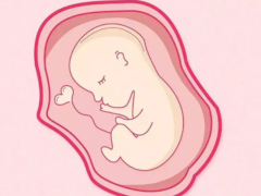 试管婴儿胚胎移植后发育缓慢的原因有哪些