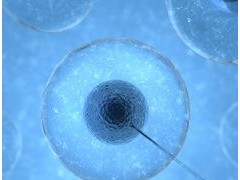 北京供卵医院排队要多久?有明确的时间吗？