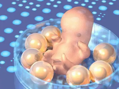 我的供卵试管之旅！真实案例分享供卵试管流程