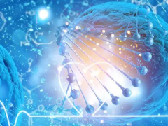 【安徽三代试管包生男孩】医院名单汇总！满足条件就能选择生男孩