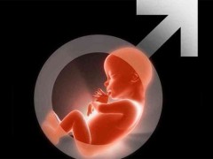 孕囊是什么，从孕囊形状可以判断胎儿性别吗