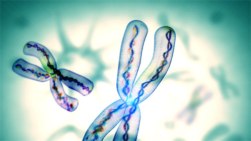 上海私立試管助孕機(jī)構(gòu)排名榜單介紹！附試管