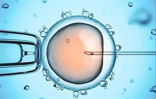 昆明生殖医院做试管费用是多少？附昆明试管医院推荐