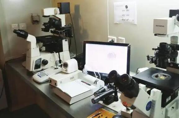 试管婴儿的保险类型有哪些 做试管包成功有保险吗