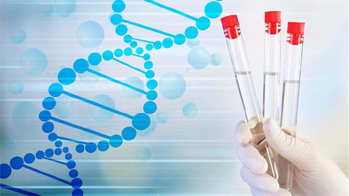 2023广州供卵试管机构推荐！附广州供卵试管医院成功率名册表