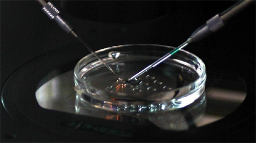 试管婴儿胚胎等级，试管婴儿胚胎等级如何划分