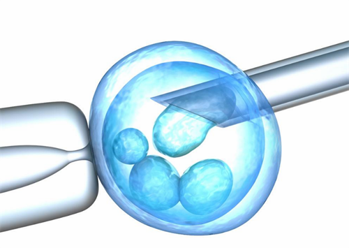 不同种类试管费用的区别，试管囊胚和冻胚移植有什么区别