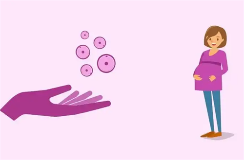 2023北京借卵试管助孕机构名单！附哪些医院借卵不需要等