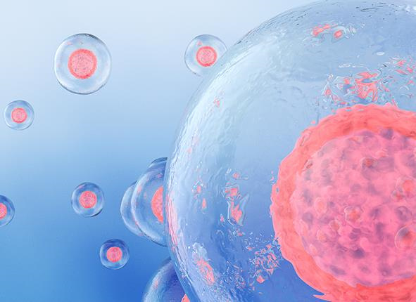 湖南省妇幼保健院可以做供卵试管吗？湖南省妇幼保健院试管成功率预估