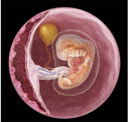 57岁高龄试管成功经验分享高龄试管成功经验分享