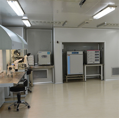 试管移植前应该怎么调理？泰国试管移植前女