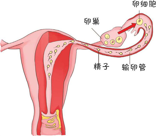 浙江杭州试管医院2025排名，杭州9家试管婴儿医院列表