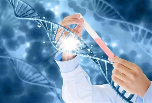 合法版河北供卵试管医院一览！最靠谱2023河北私立供卵机构名单更新